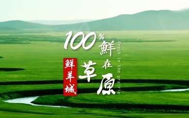 &#20061;&#24030;&#32593;&#39029;&#29256;&#45;&#20061;&#24030;&#40;&#20013;&#22269;&#41;&#95;&#20061;&#24030;&#40;&#20013;&#22269;&#41;